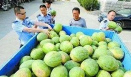 阳江网红吃瓜群微信,揭秘网络红人的幕后故事