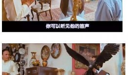 偶滴神啊电影在线观看,笑中带泪的奇幻之旅