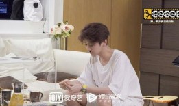 陈赫鹿晗爆料是真的吗视频,真相究竟如何？